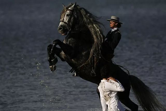 爱游戏下载-马拉加赢得惊险比赛，球队实力赢得认可的简单介绍