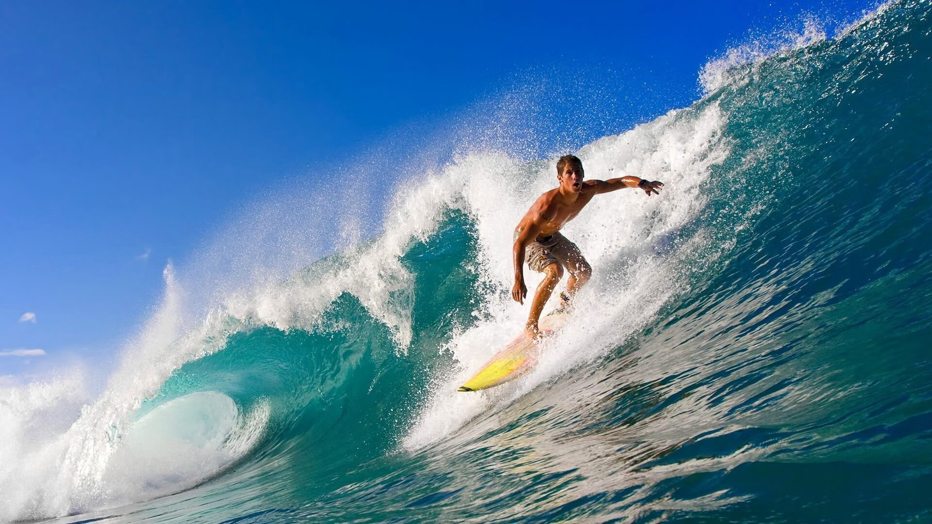 赛道上的新秩序,哈斯力克雷诺,维斯塔潘的绝对统治